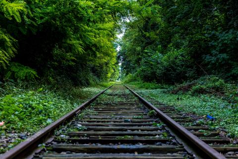 Bc Nature Forest Industry Rails.jpg