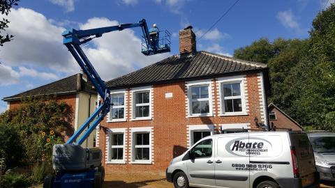 image of Abate removing bees from house