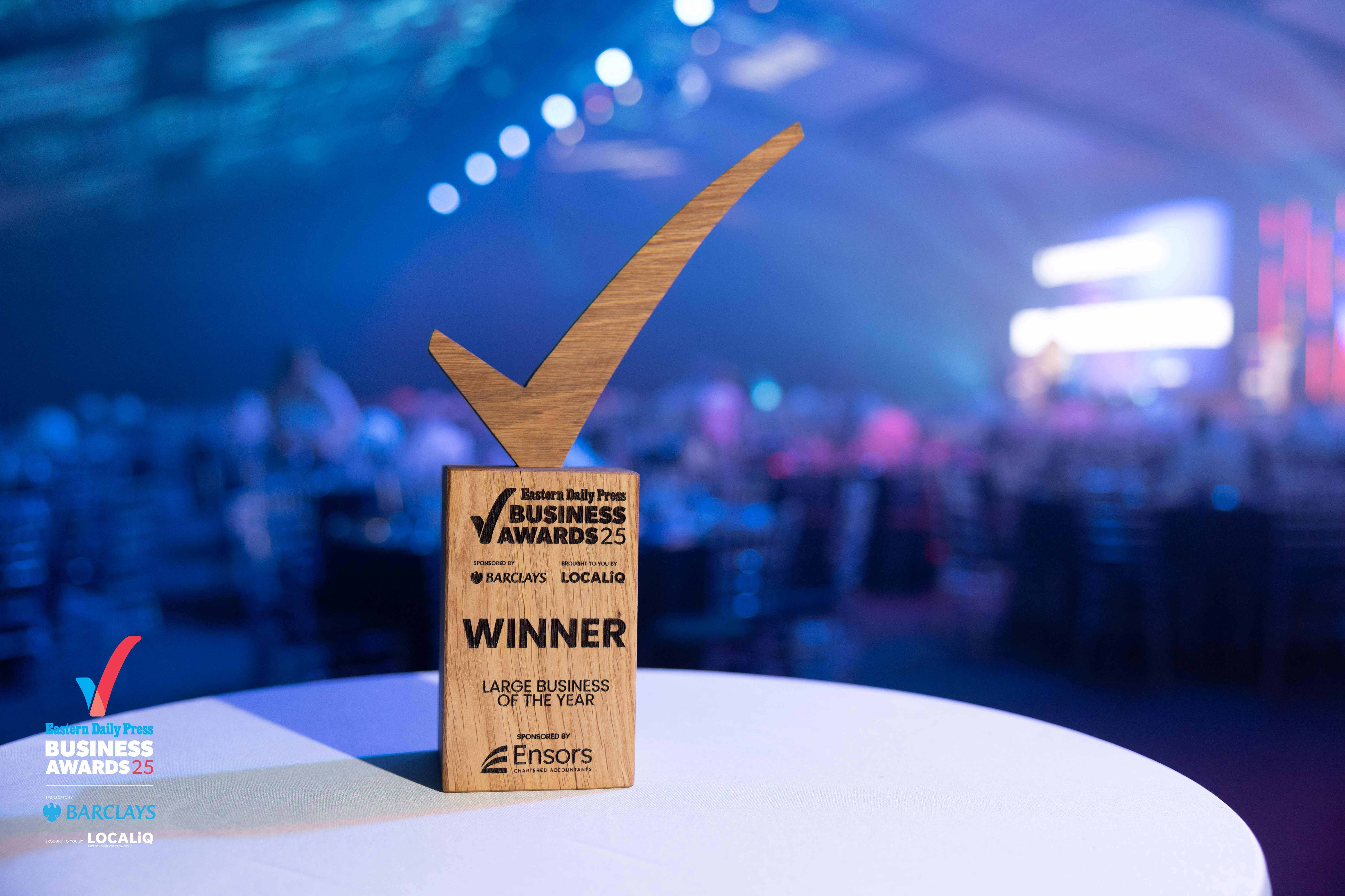 Large Business of the Year Award 2025