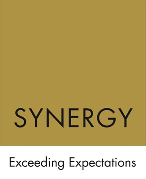 Nm Synergy Logo 003.png