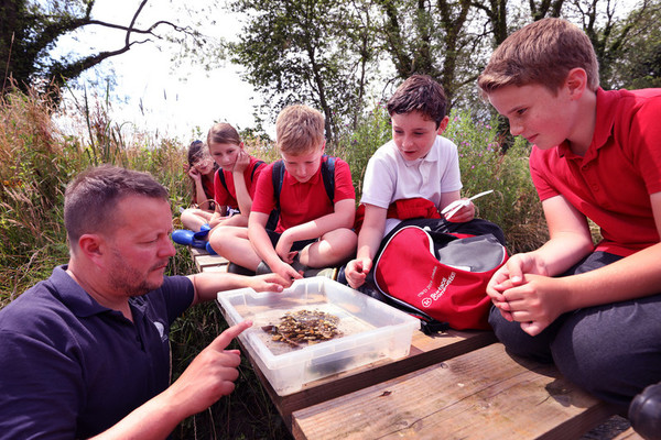 Nm Bio Blitz Ingoldisthorpe Wetland 22 07 2019 93 .jpg