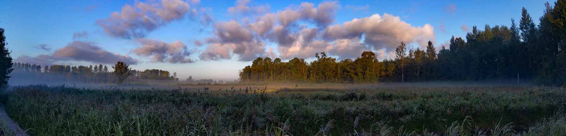 Nm Sculthorpe Moor Oak Fen By Andy Thompson.jpg