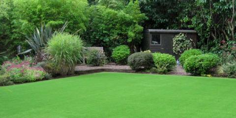 Bm Artificial Grass Blog.jpg