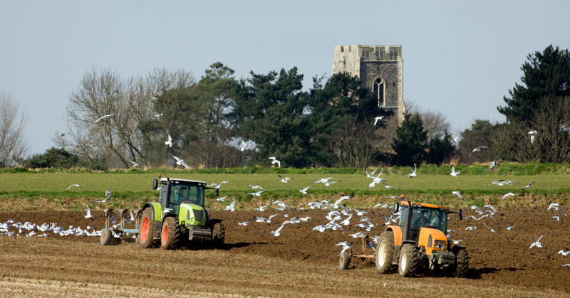 Divorce and Family Farms in Norfolk