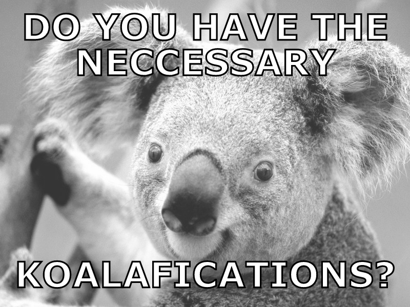Tm Koala.jpg