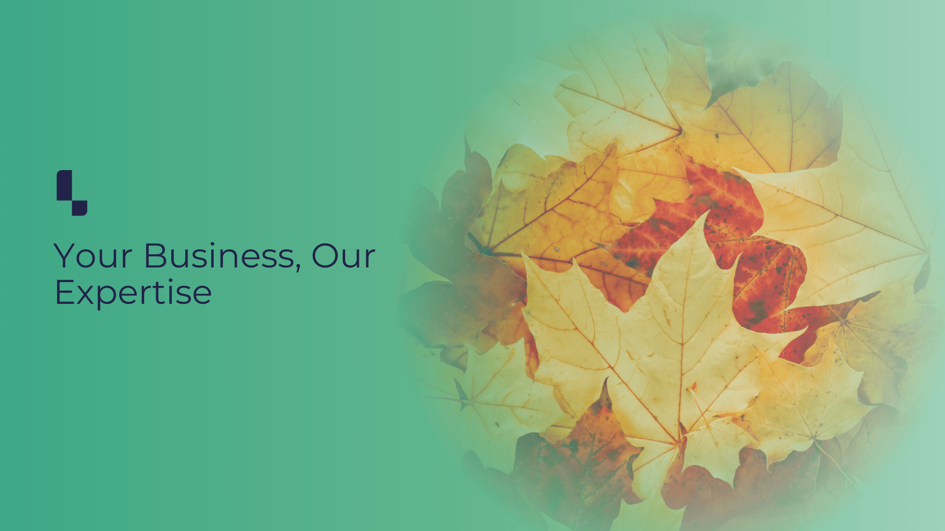 Your Business, Our Expertise