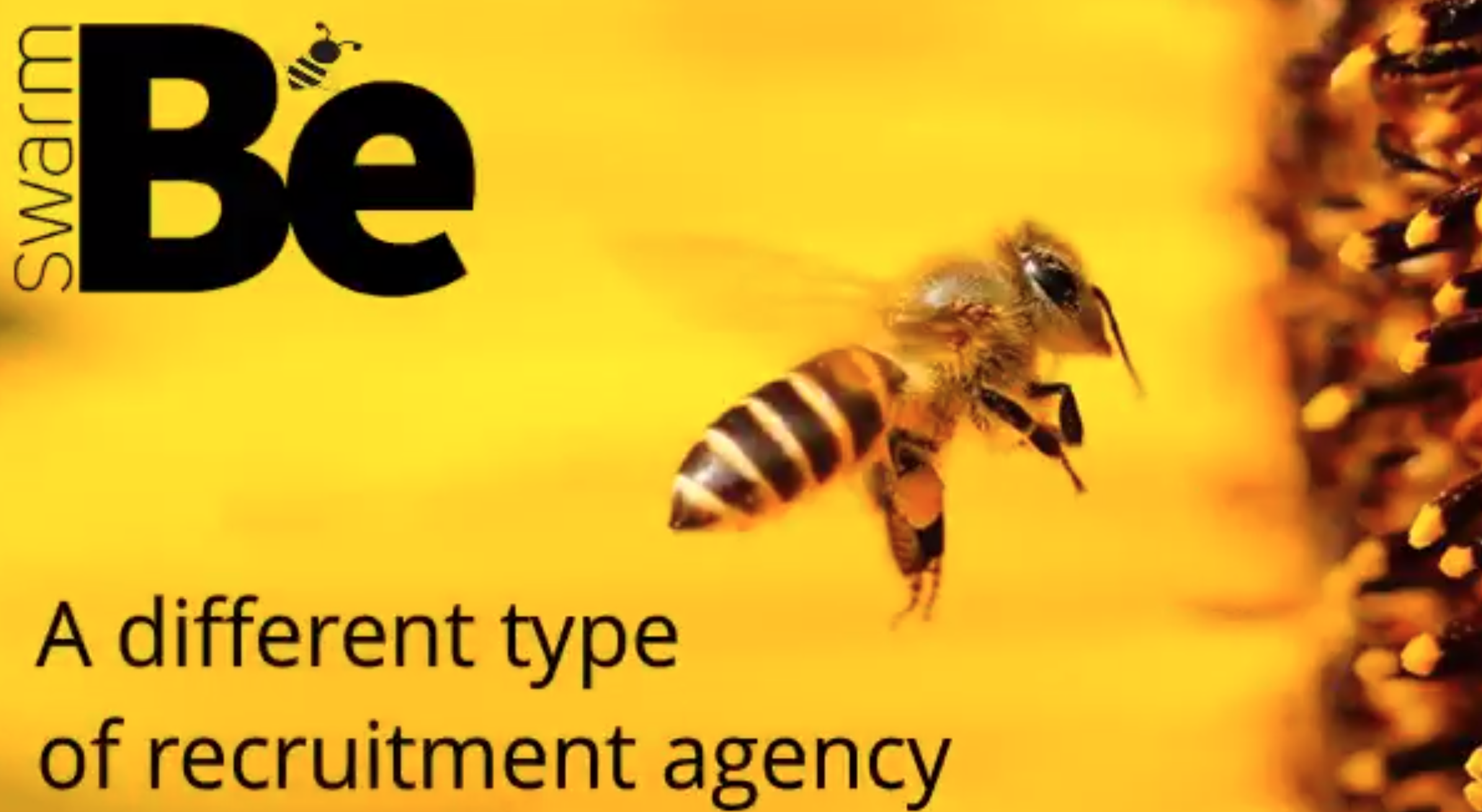 swarm-Be - a different type of recruitment agency