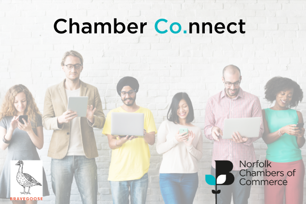 Ec Chamber Co.nnect Bravegoose Website 1.png