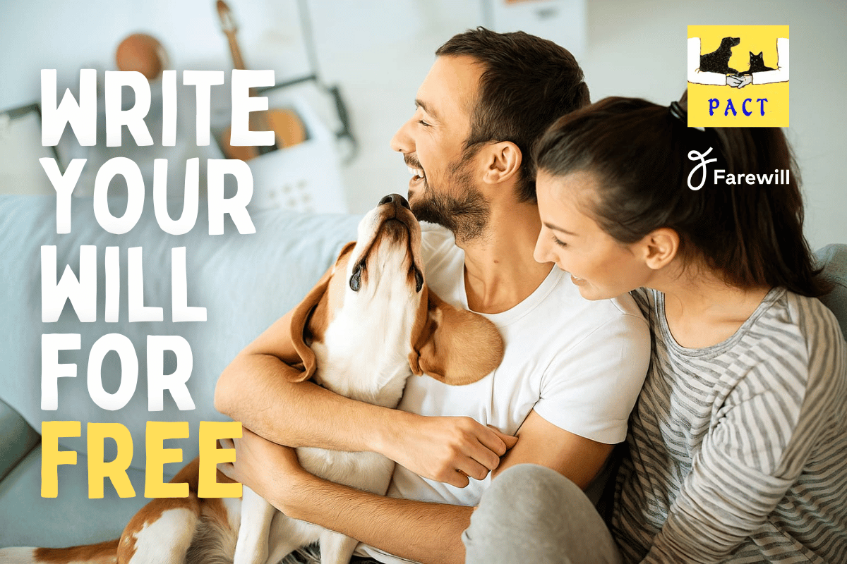 PACT & Freewill partnership