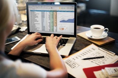 Em Excel Training Stock Image.jpg