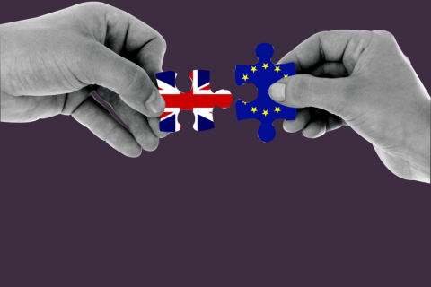 Business Growth and Brexit Support Workshop