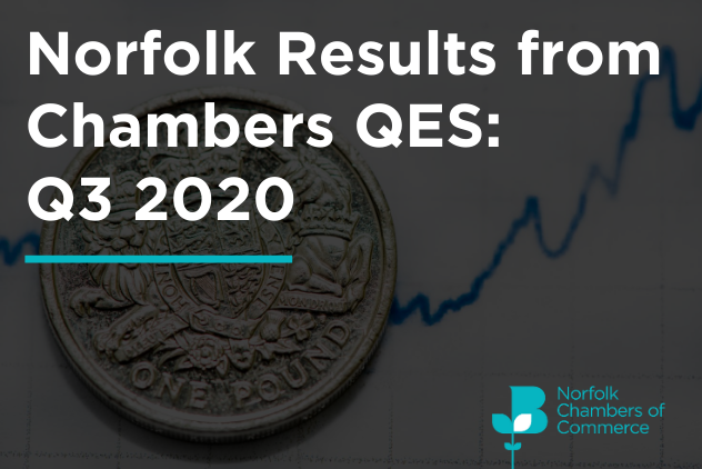 Ec Chamber Webinar Norfolk Results From Chambers Qes Q3 2020 Website.png