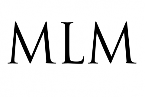 Em Mlm Multidisciplinary Consulting.png
