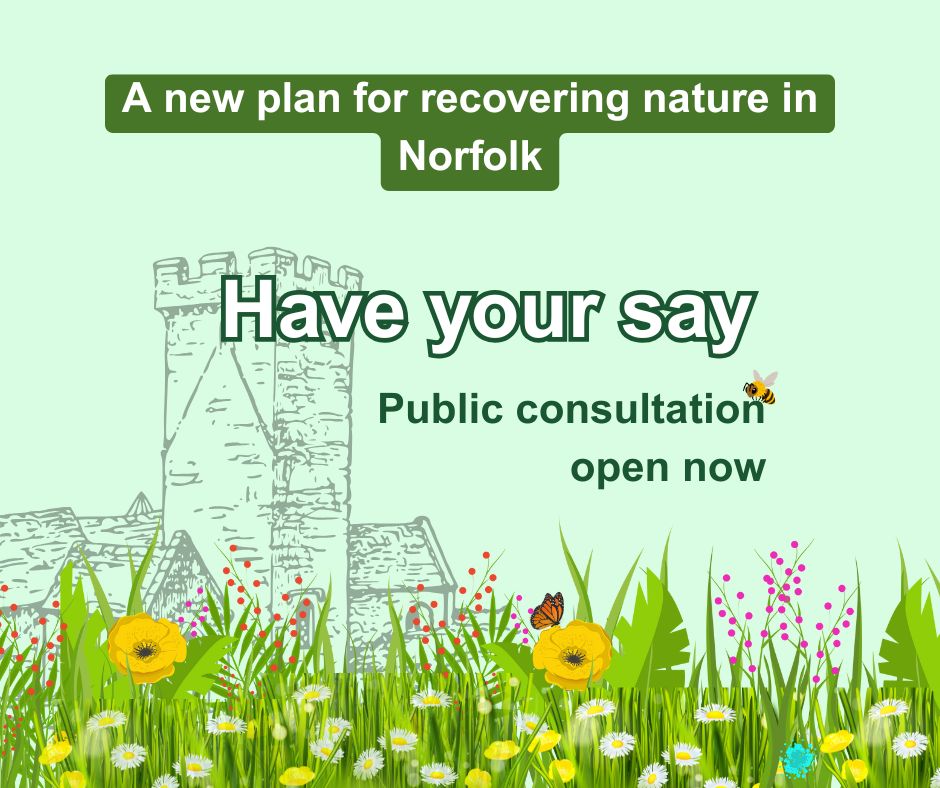 Help shape nature recovery across Norfolk