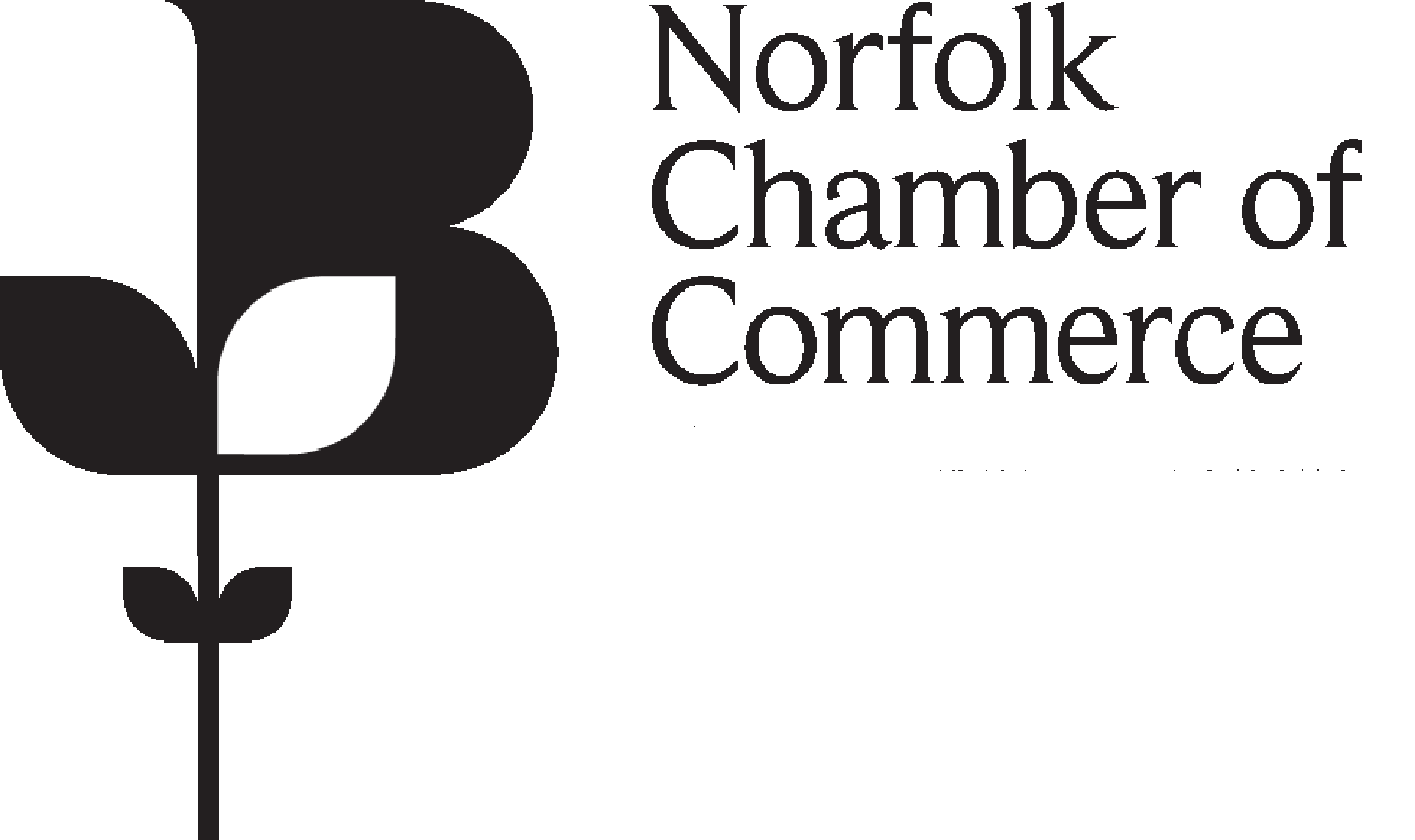 Norfolk Chamber