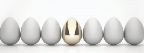 Em Eggs Long Cropped 0.jpg