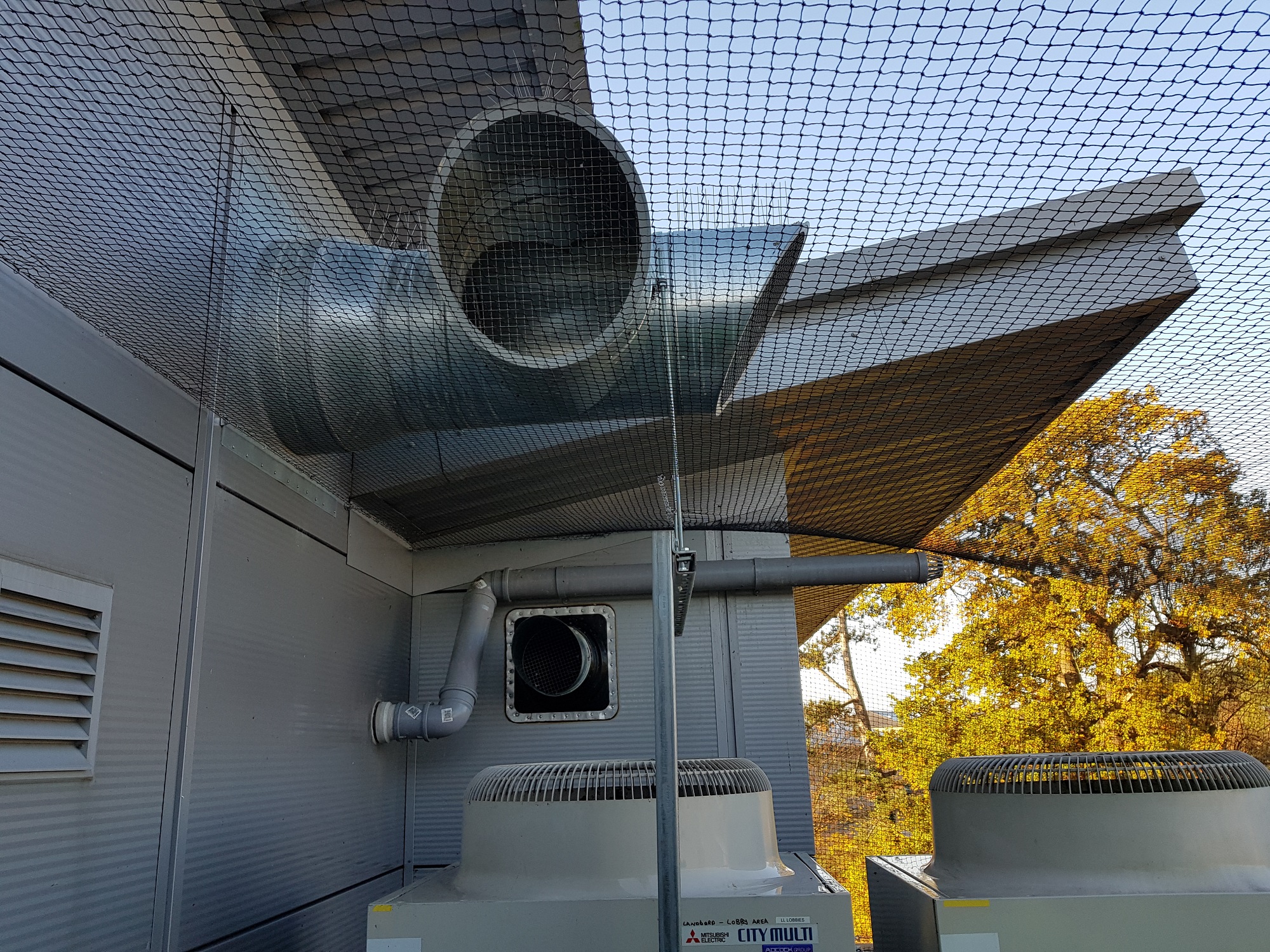 Bird Proofing External Roof Plant Room in Norwich