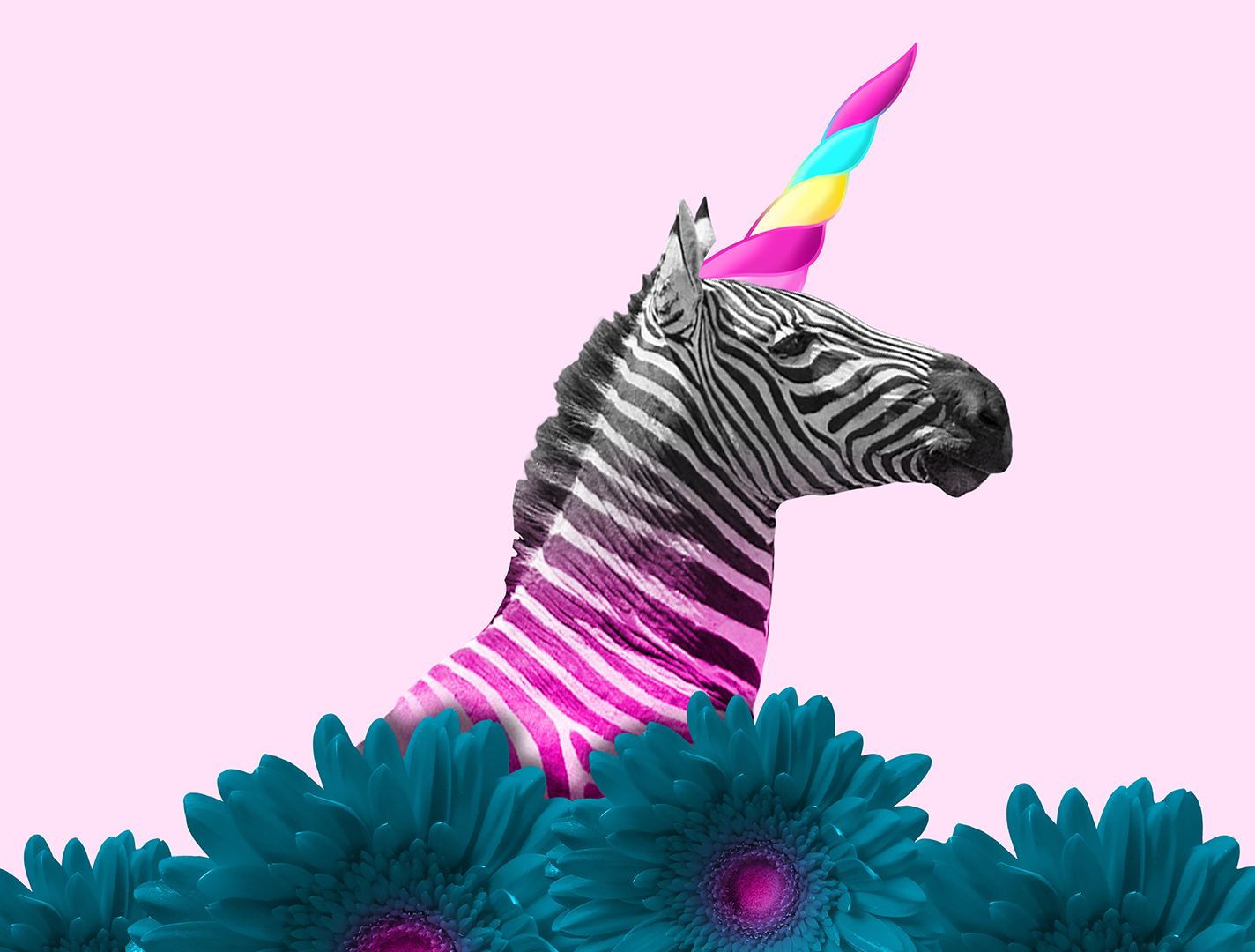 Tm Finding Unicorn Image.png