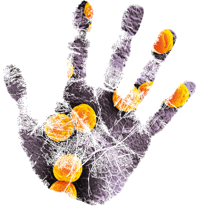Tm Hand Hygiene From Fs Logistics.png