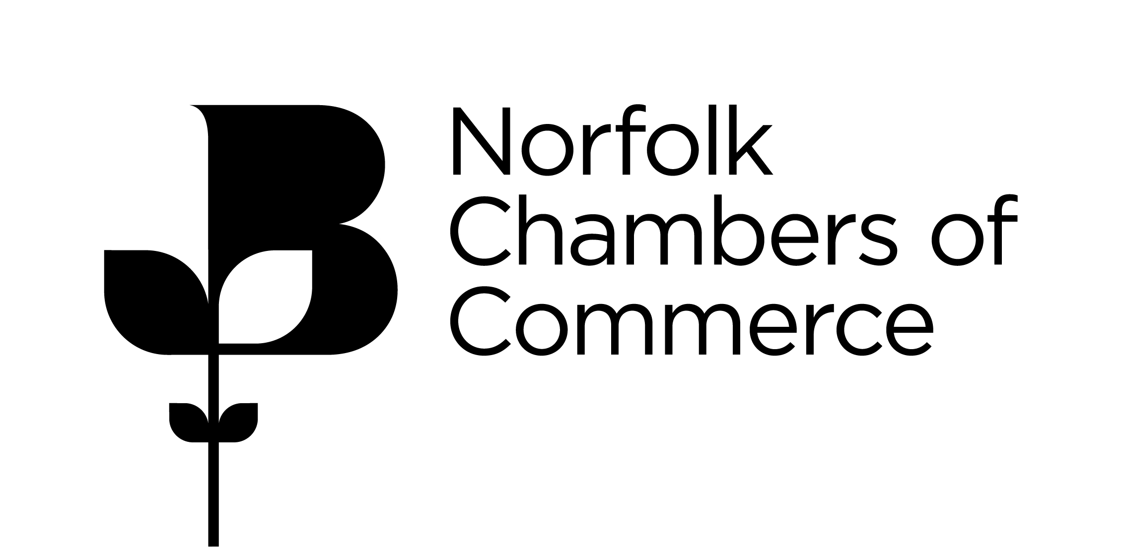 Ec Norfolk Chambers Logo Black.jpg