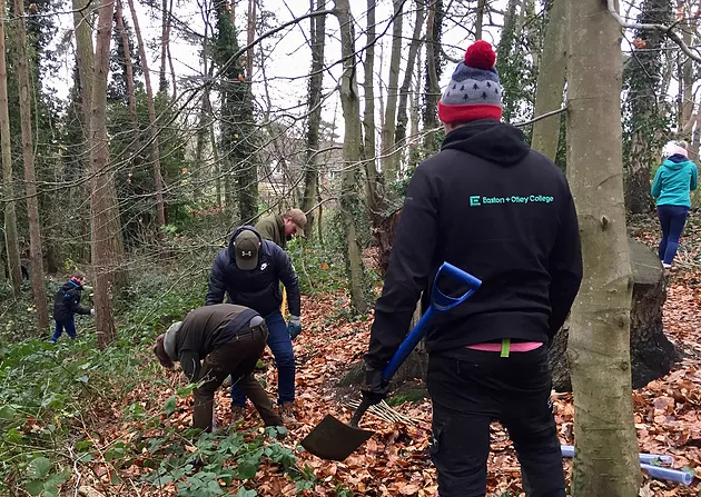 Nm Sadlers Wood Tree Planting 1.png