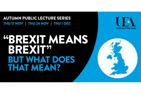 Em Brexit Means Brexit.png