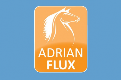 Dl Adrian Flux Logo 0.png