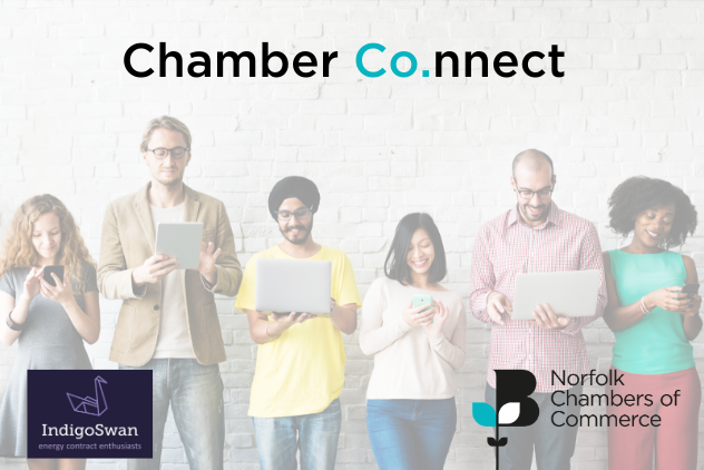 Ec Chamber Co.nnect Indigo Swan Website.png