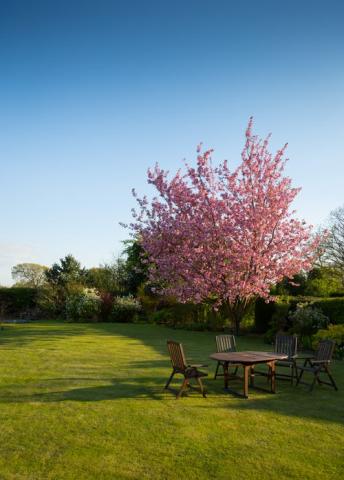 landscaped-garden