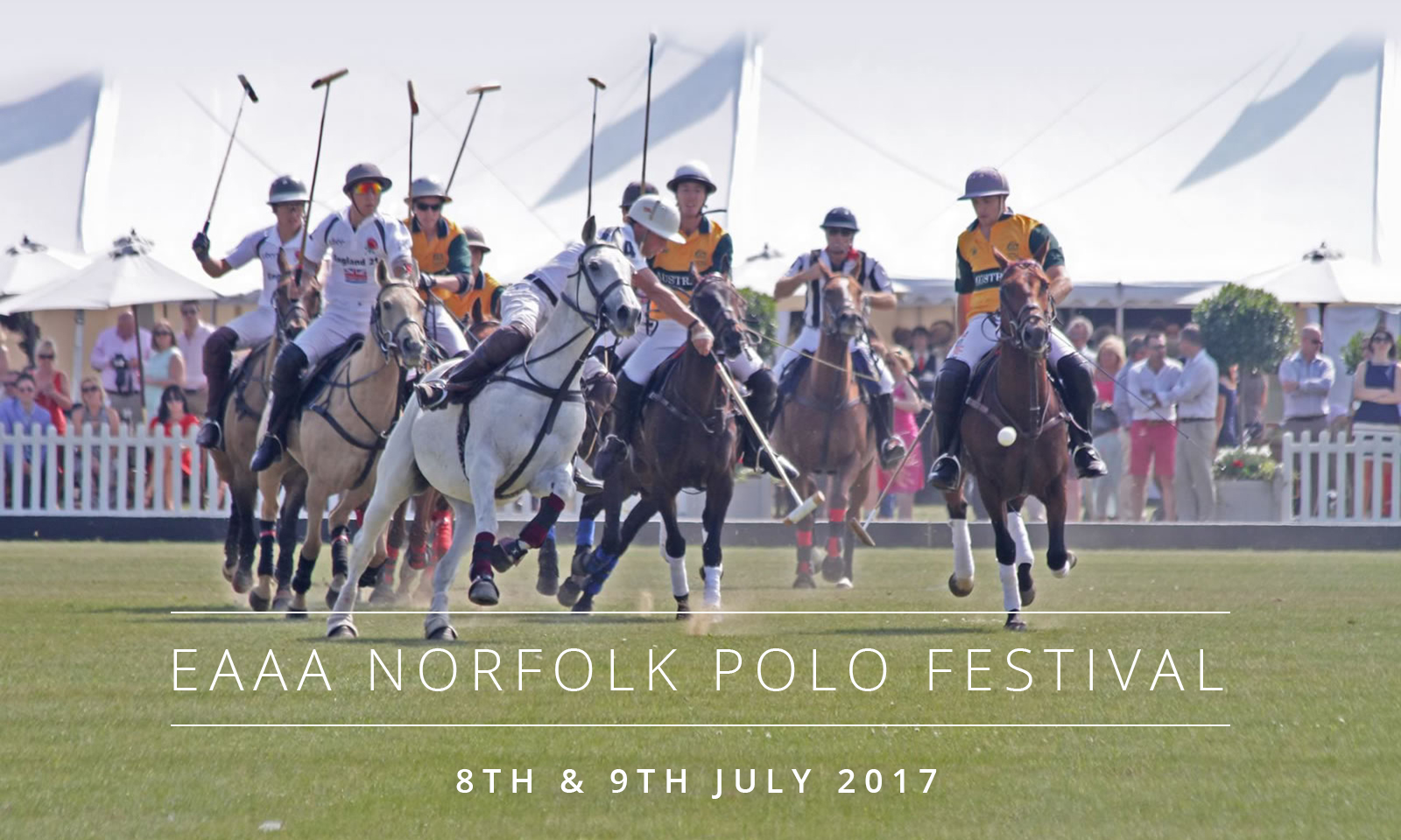 Nm Norfolk Polo Festival.jpg