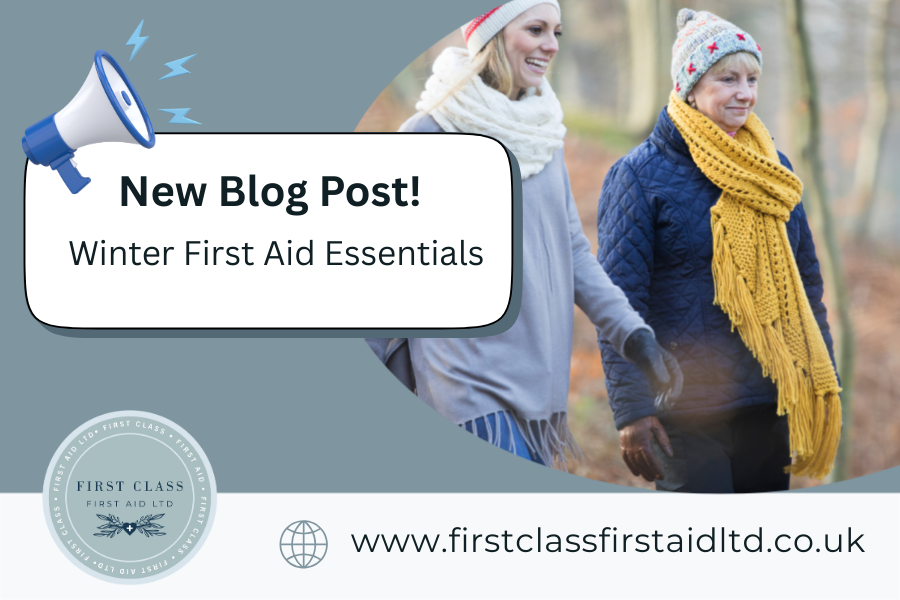 Two women are walking in a wood dressed in winter clothing