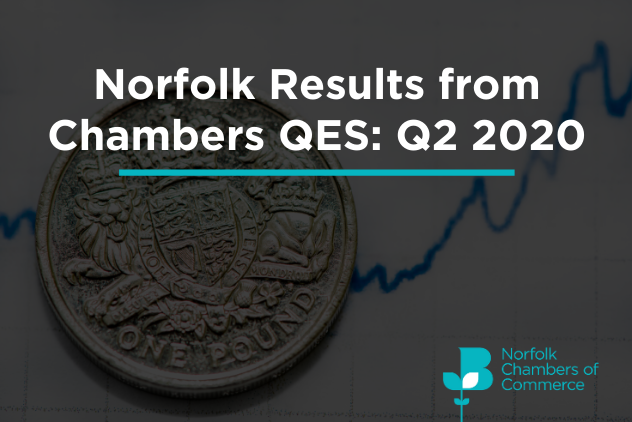 Ec Chamber Webinar Norfolk Results From Chambers Qes Q2 2020 Website 0.png