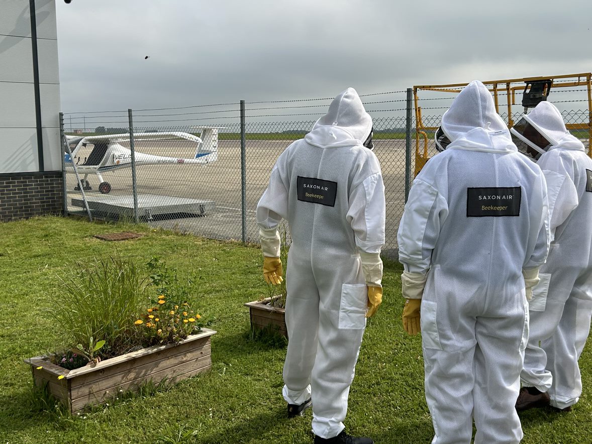 Saxon Air Beekeeping by the airfield