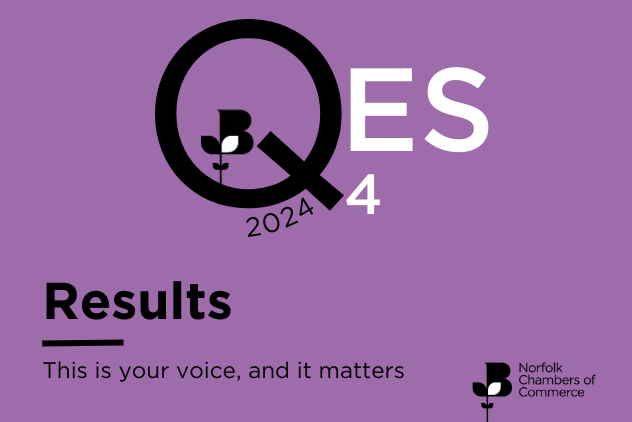 QES Q4 2024 results