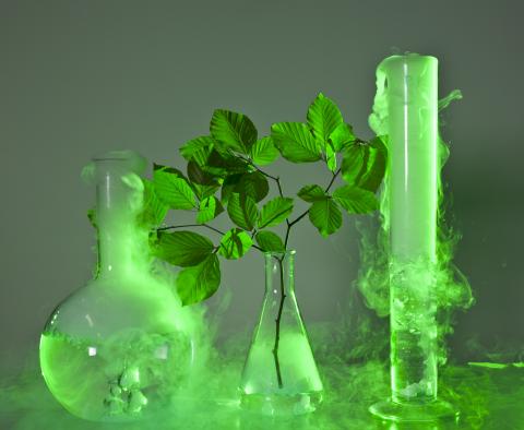 Em Tsn Plant.jpg