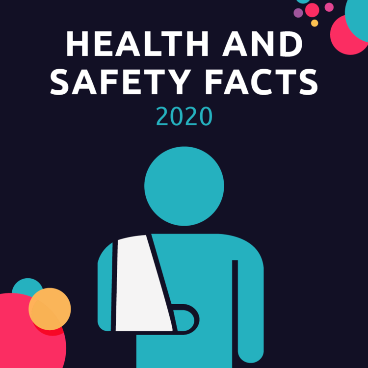 Nm Health And Safety Facts 2020 Thumbail.png