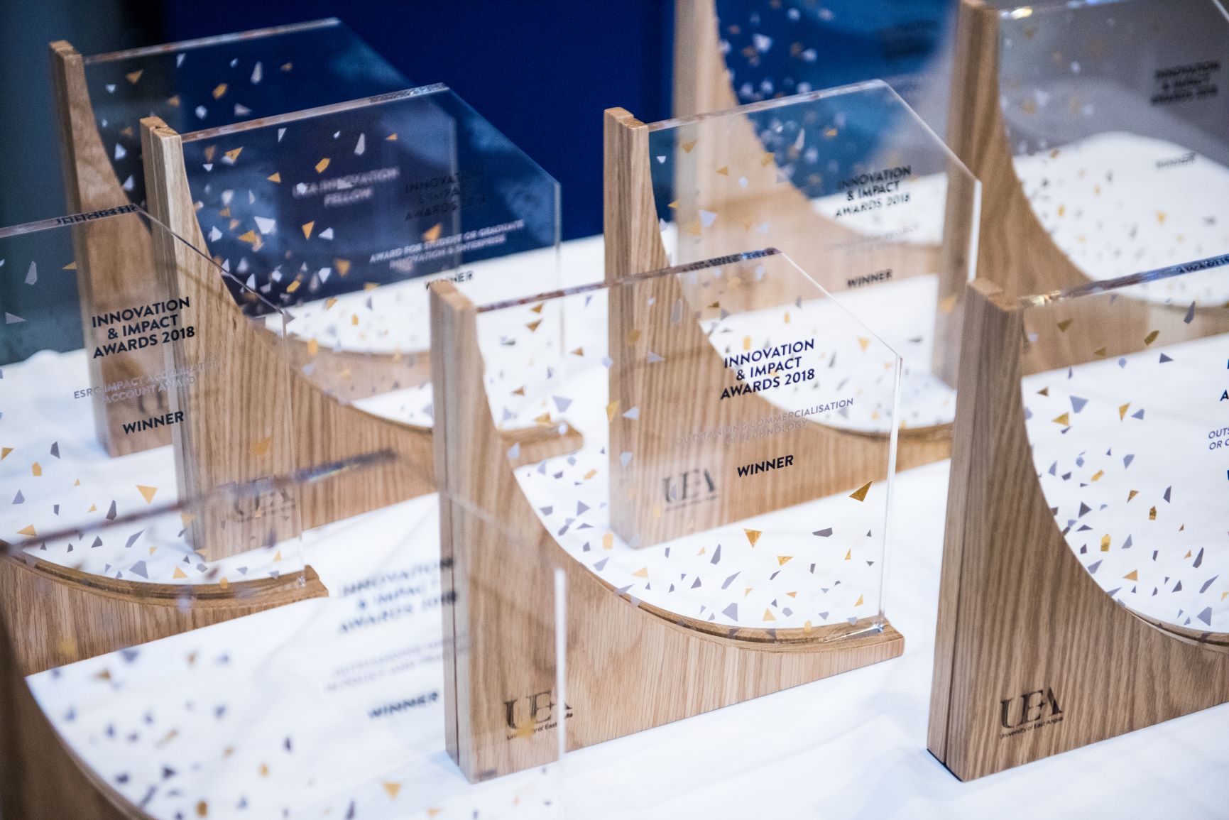 Nm Trophies On Display Linked In.jpg