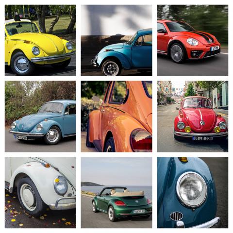 The Iconic Vw Beetle