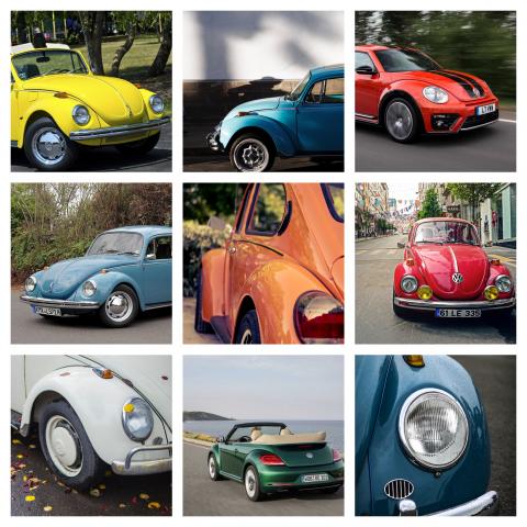 The Iconic Vw Beetle