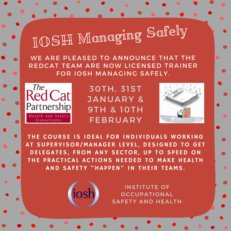 Nm Iosh Managing Safely.png