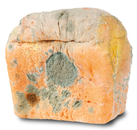 Tm Mouldy Bread.png