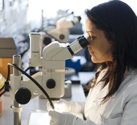 Em Science Student Cropped.jpg