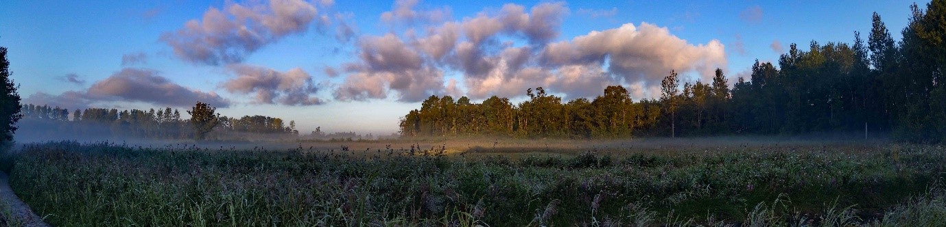 Sculthorpe Panorama, Andy Thompso