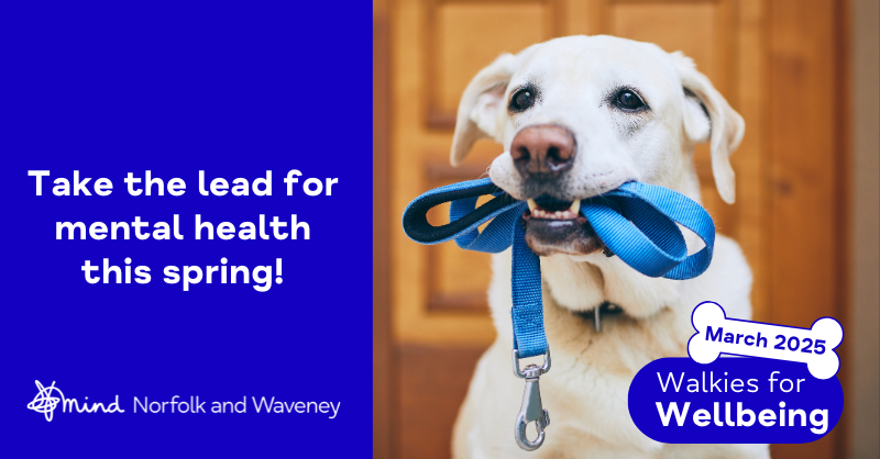 Image of a labrador holding a blue lead alongside the text 