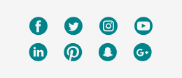 Social Media Training Icons