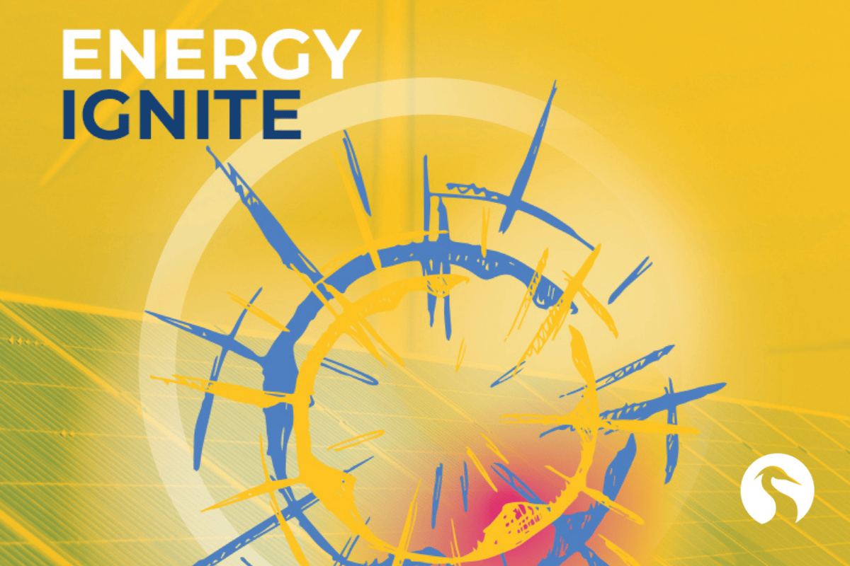 Blue Heron Training Energy Ignite