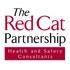 Em Red Cat Small 0.jpg