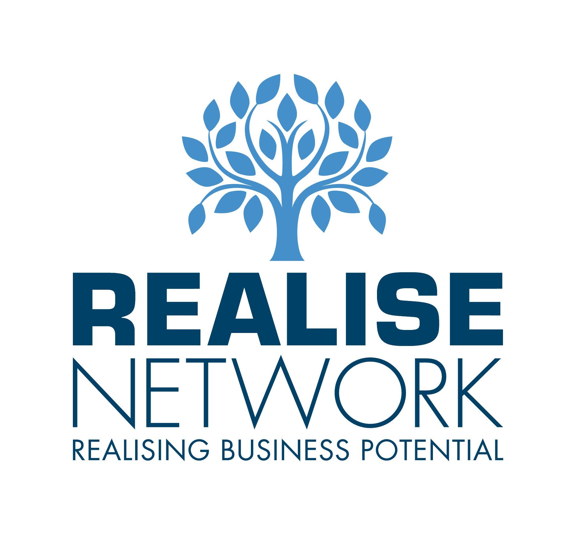 Nm 9228 Realise Network Logo Rgb.jpg