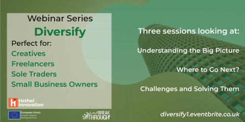Em Diversify Flyer 2 0.png