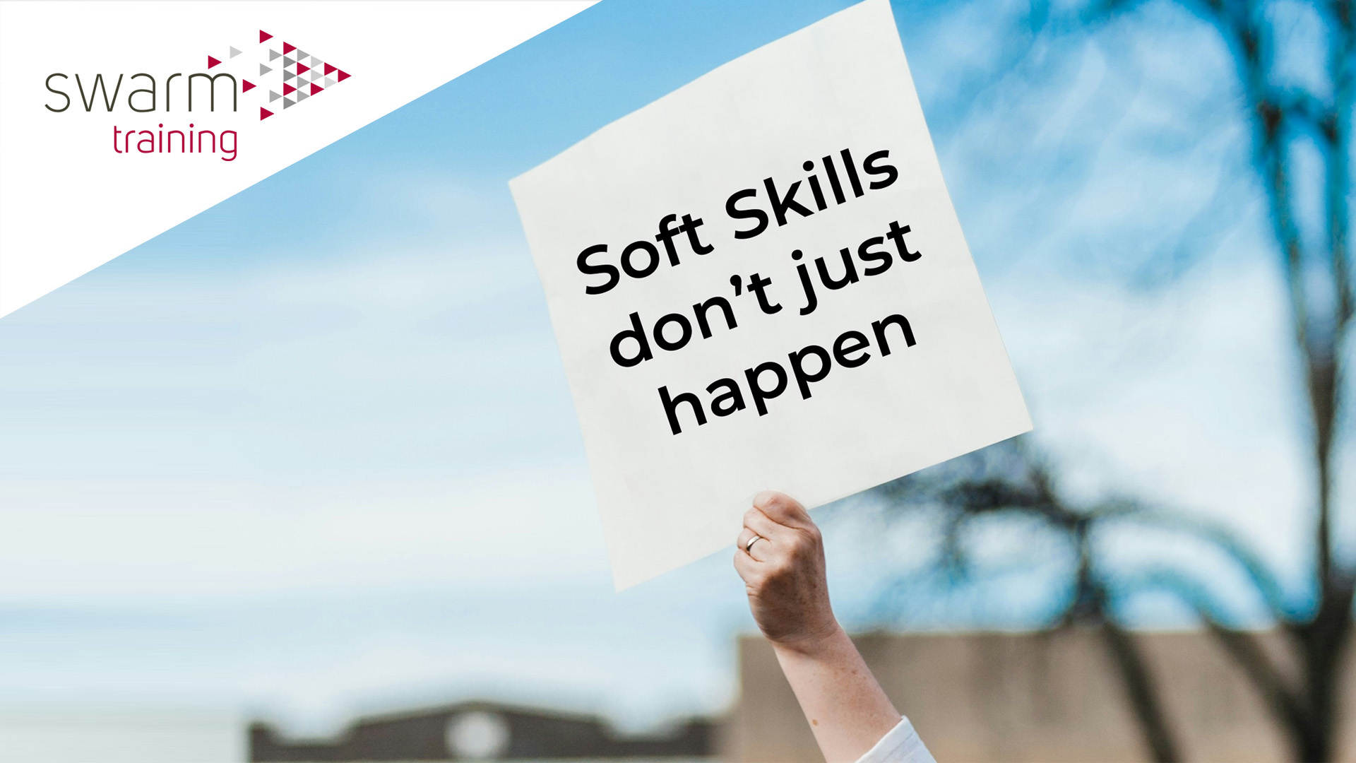 Soft Skills don
